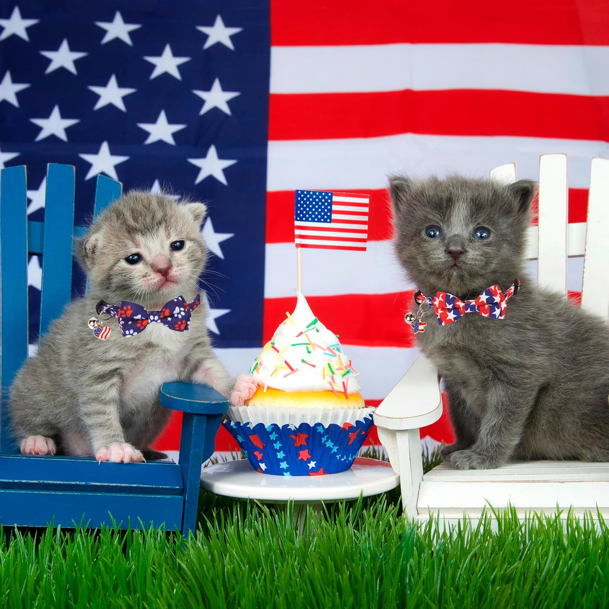 American Flag Breakaway Cat Collars with Bow Tie and Bell - 2 Pack 4th of July Kitten Collars in Red and Blue