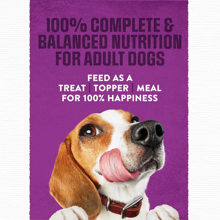 Premium Soft Dog Food Pouches - 36 Count