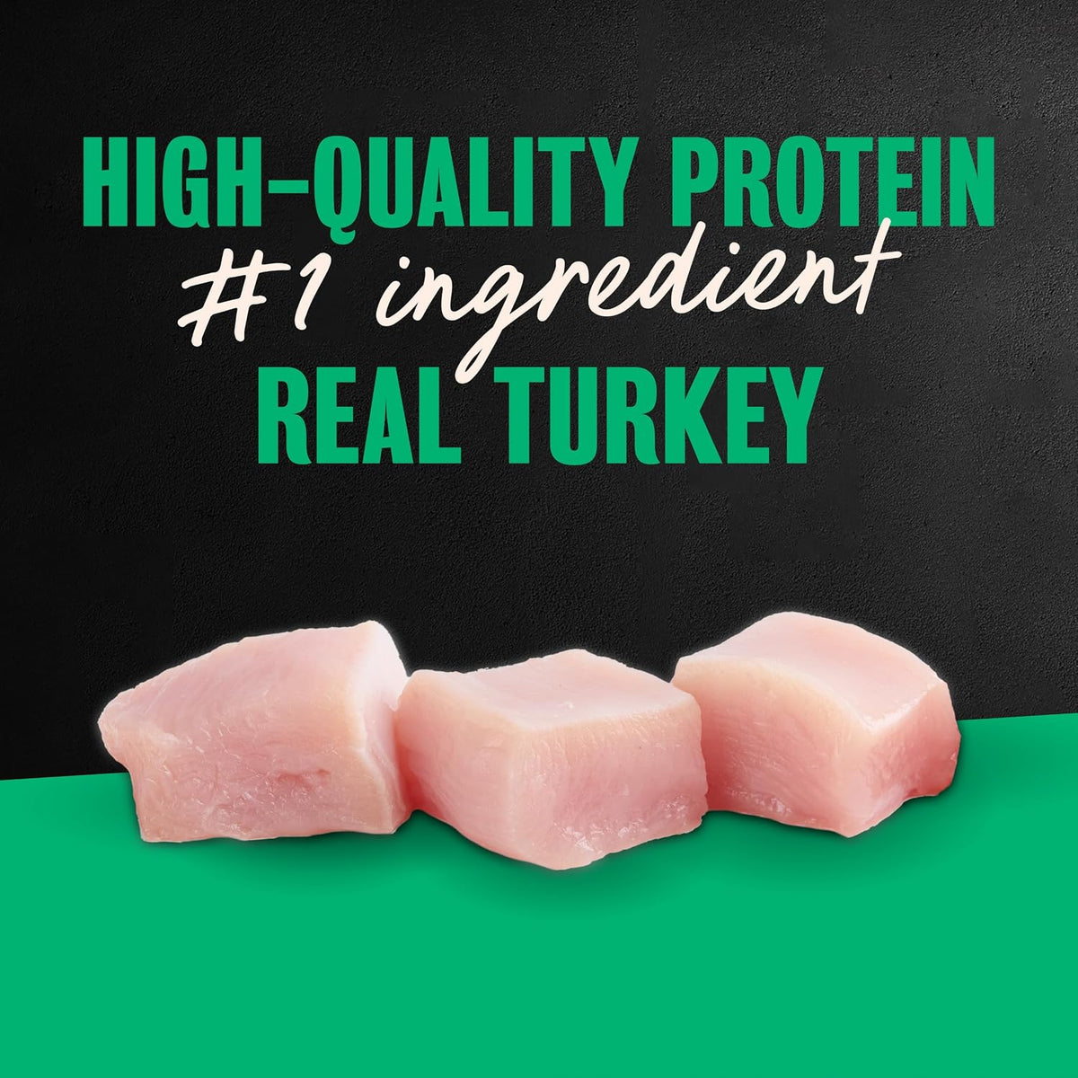 Turkey Recipe Wet Dog Food Filets in Gravy, 3.5 Oz, 24-Pack