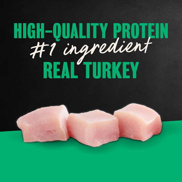 Turkey Recipe Wet Dog Food Filets in Gravy, 3.5 Oz, 24-Pack