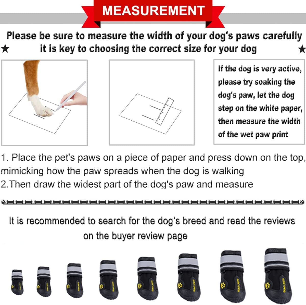 Dog Footwear: Protective Shoes for Hot Pavement and Winter Conditions