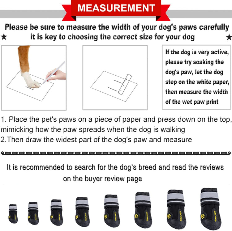 Dog Footwear: Protective Shoes for Hot Pavement and Winter Conditions