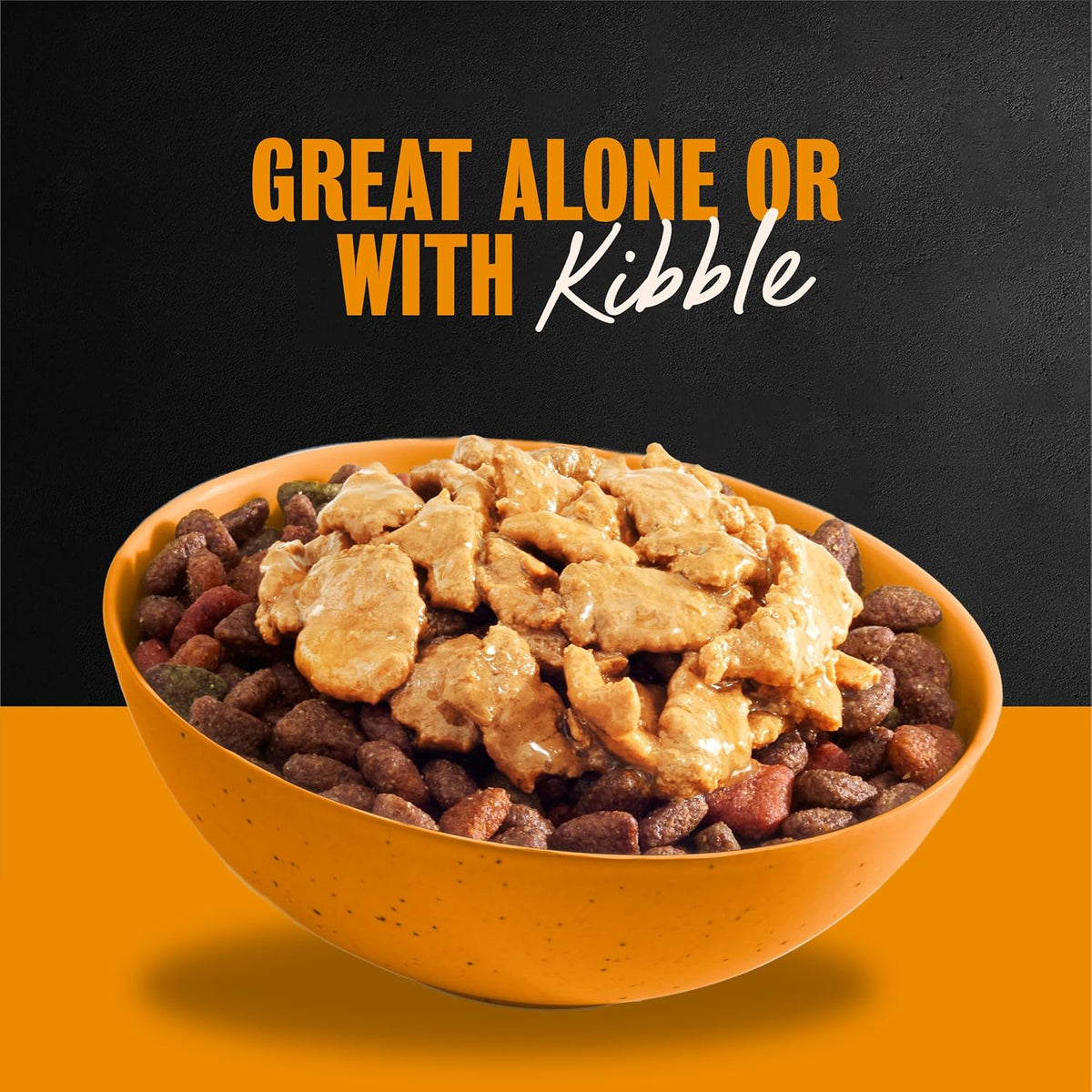 Rotisserie Chicken Flavor Filets in Gravy Wet Dog Food, 3.5 Oz, Pack of 24