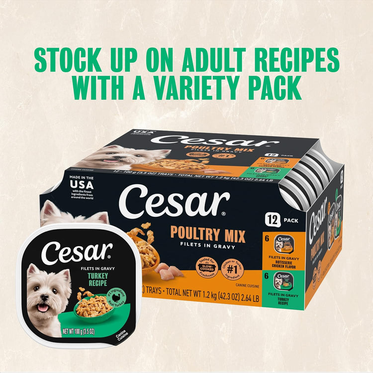 Turkey Recipe Wet Dog Food Filets in Gravy, 3.5 Oz, 24-Pack