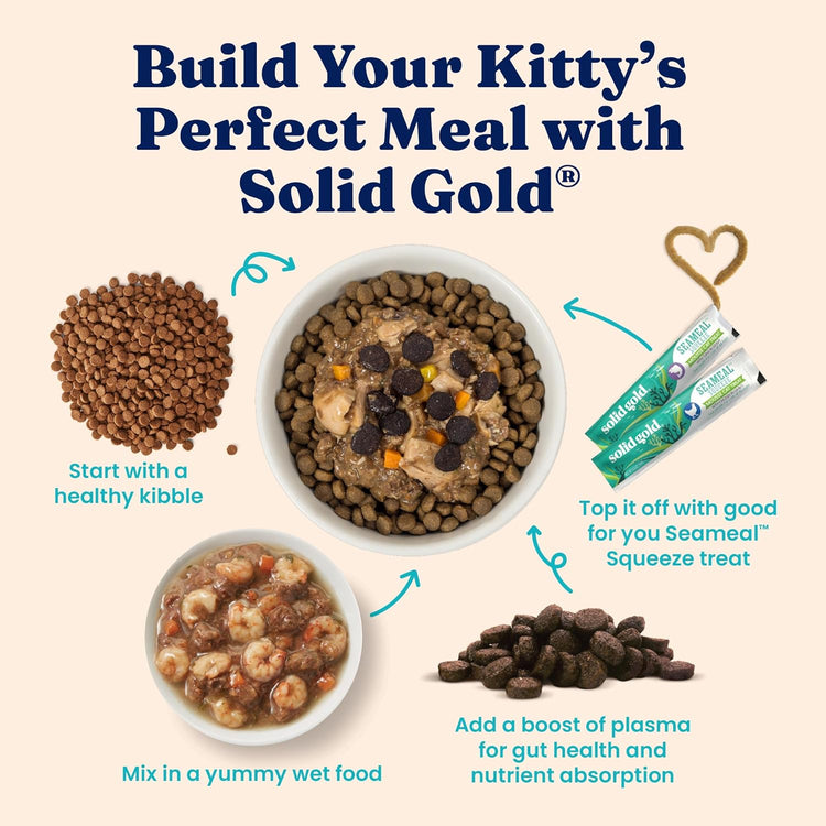 Premium Indoor Lamb Dry Cat Food with Probiotics for Kittens and Adults - 12 lb Bag
