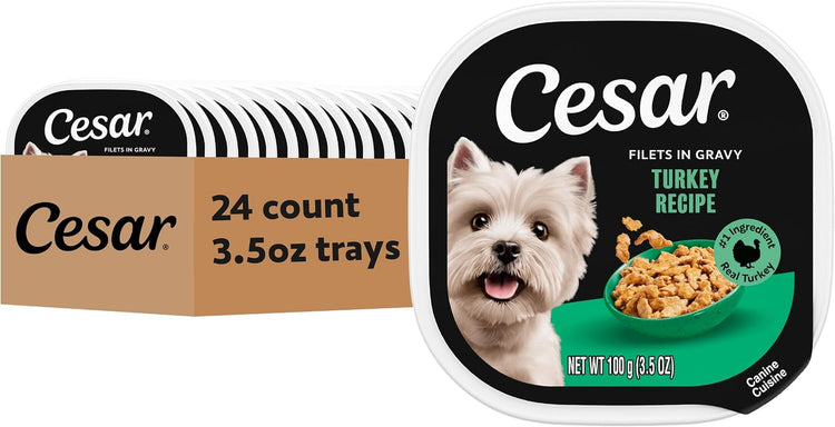 Turkey Recipe Wet Dog Food Filets in Gravy, 3.5 Oz, 24-Pack