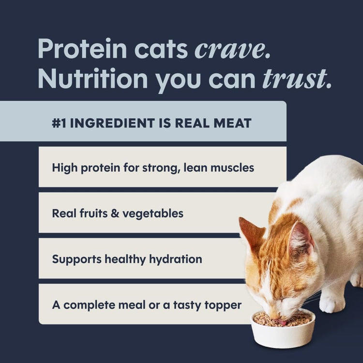 Gourmet Pâté Entrées Wet Cat Food Variety Pack - 12 x 5.5 oz Cans for Happy, Healthy Cats!