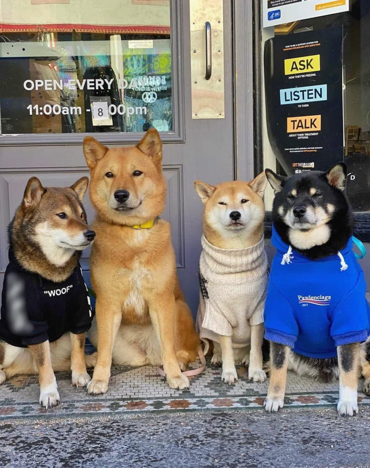 Stylish Blue Streetwear Sweatshirt Tracksuits for Dogs and Cats, Available in Small to 3XL