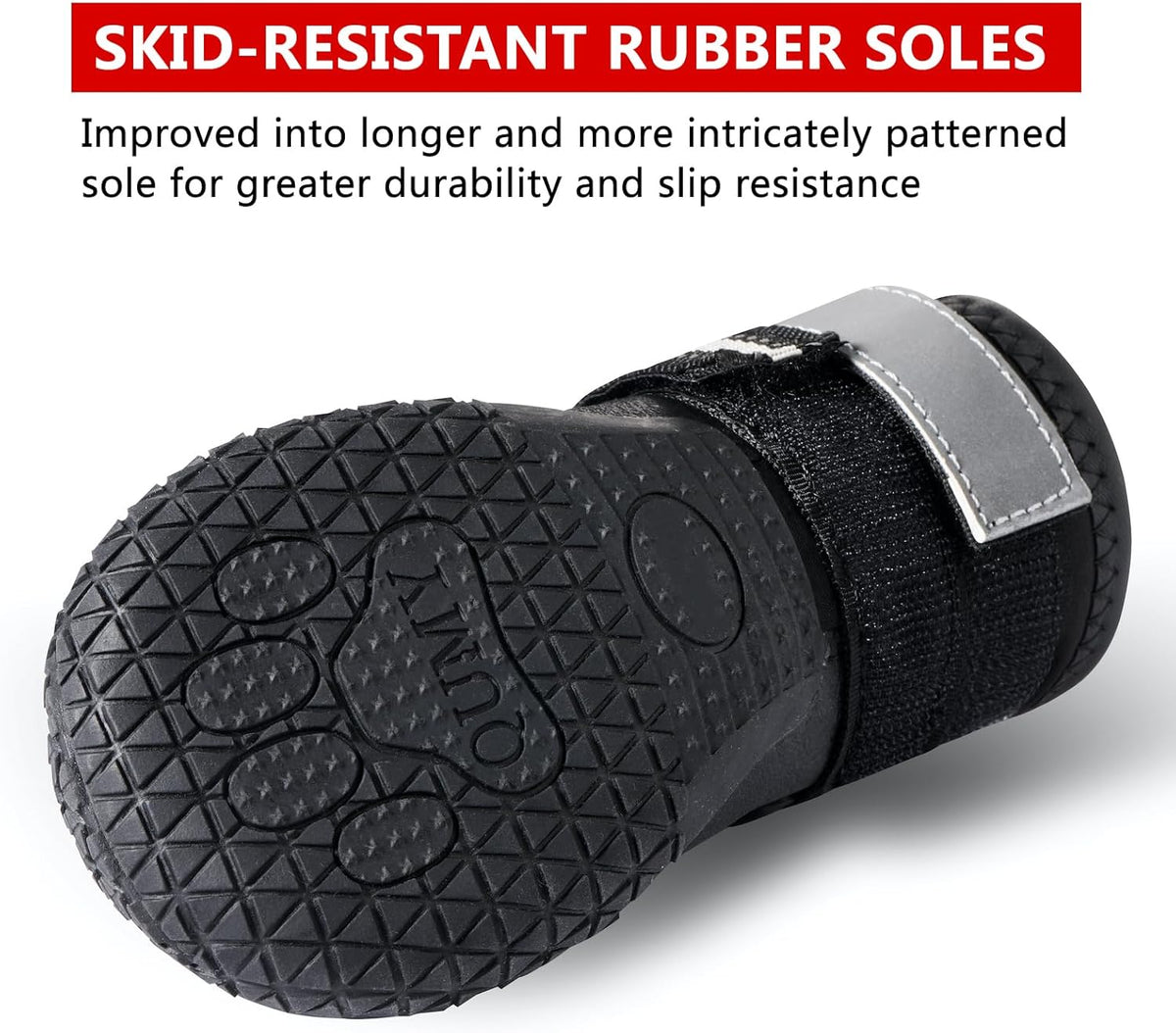 Dog Footwear: Protective Shoes for Hot Pavement and Winter Conditions