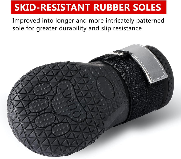 Dog Footwear: Protective Shoes for Hot Pavement and Winter Conditions