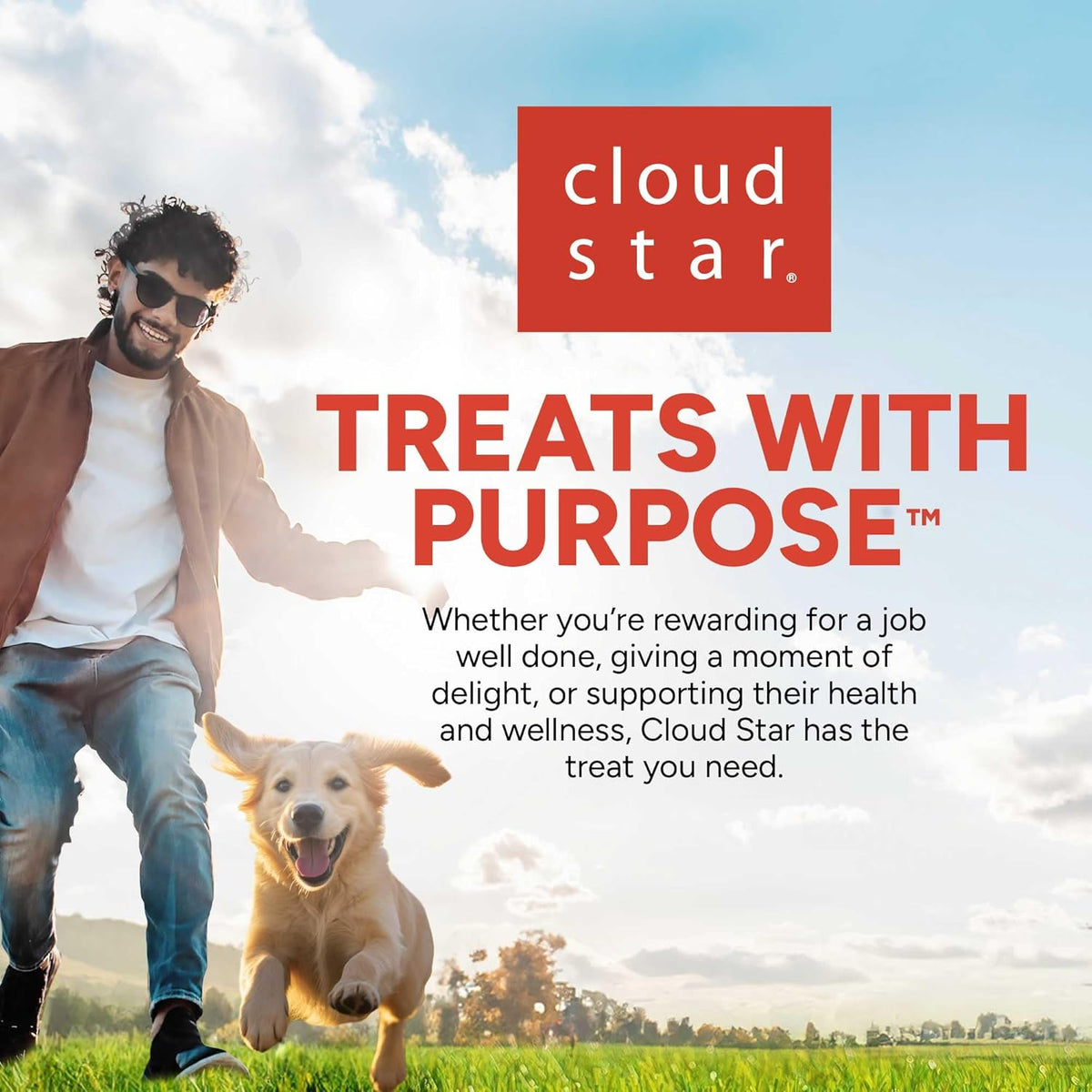 Mini Soft & Chewy Dog Training Treats, Chicken Flavor, 10 Oz