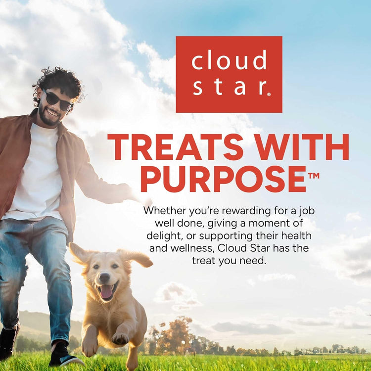 Mini Soft & Chewy Dog Training Treats, Chicken Flavor, 10 Oz