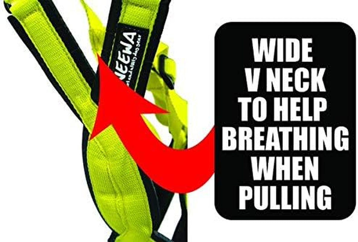 Adjustable Pro Harness for Large Dogs - Blue Dog Pulling Harness Ideal for Canine Joring