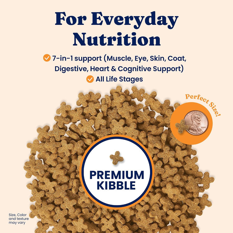Premium Indoor Lamb Dry Cat Food with Probiotics for Kittens and Adults - 12 lb Bag
