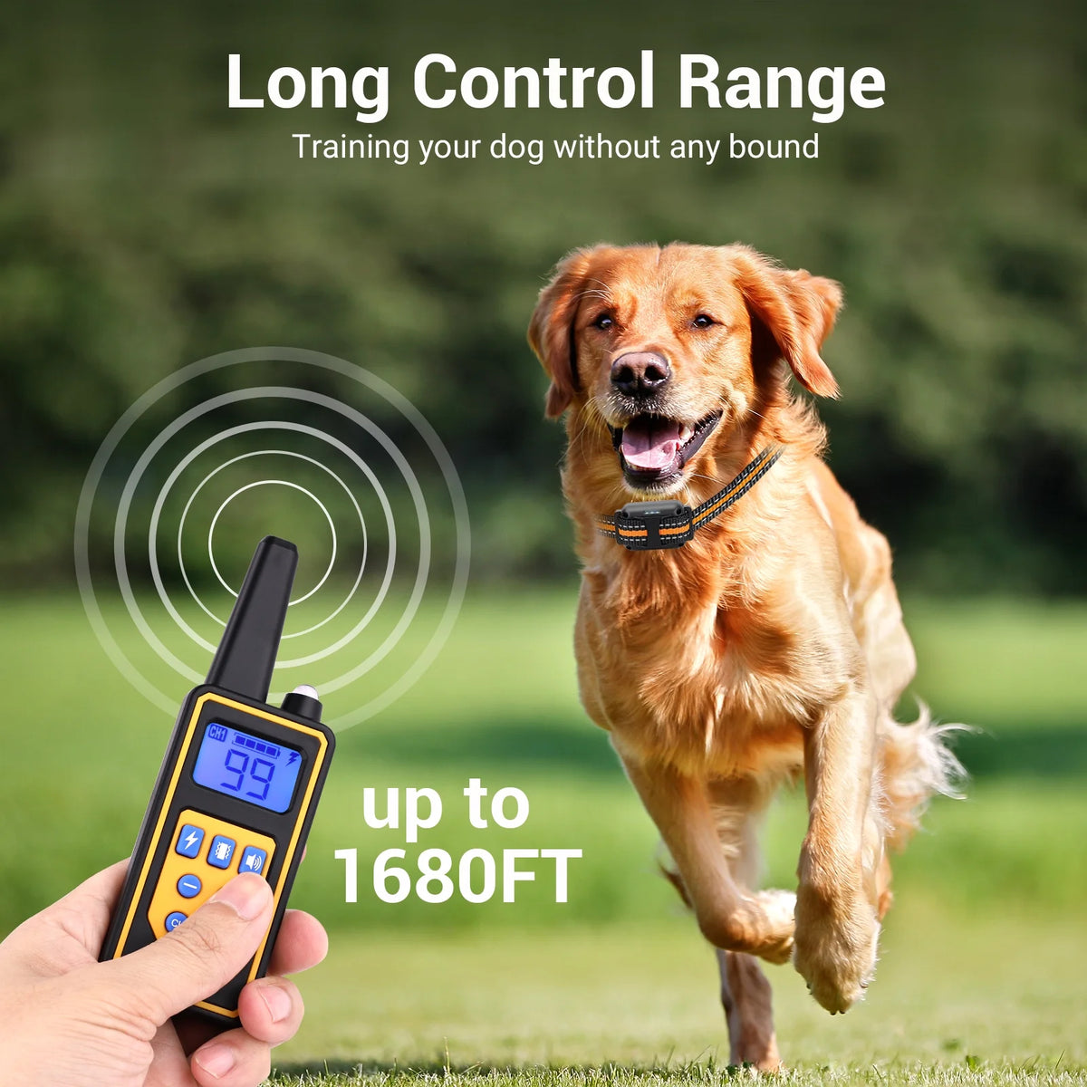 2600FT Dog Training Collars for 2 Dogs, Dog Shock Collar with Remote, 3 Modes Beep Vibration Shock, Waterproof, LED Light for Training Small Medium Large Dogs