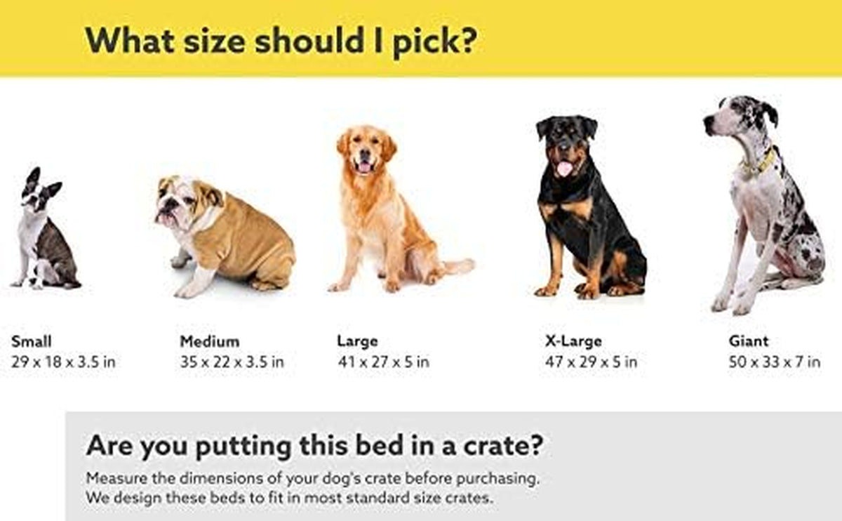 Chew-Proof Elevated Dog Cot Bed, Large, Beige Ripstop