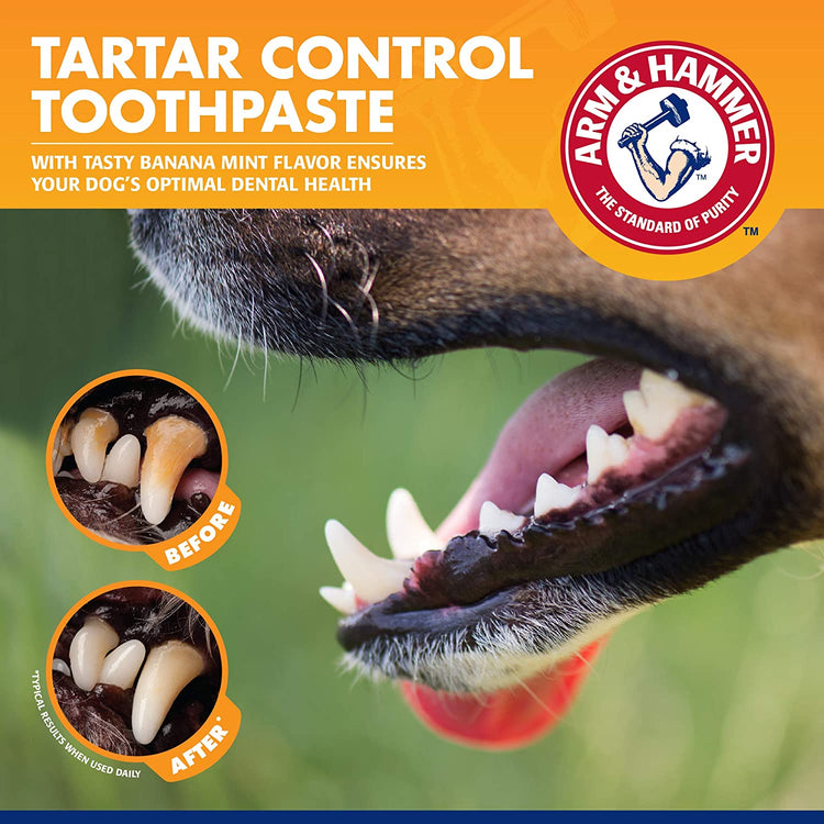 Dog Toothbrush Kit with Banana Mint Toothpaste, 2.5 oz
