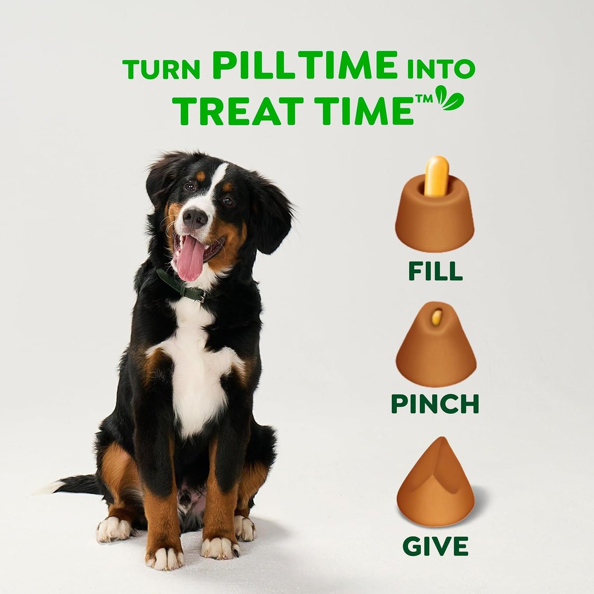 Large Size Dog Treats, Peanut Butter Flavor, 15.8 Oz