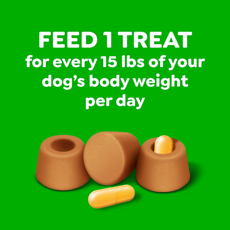 Large Size Dog Treats, Peanut Butter Flavor, 15.8 Oz