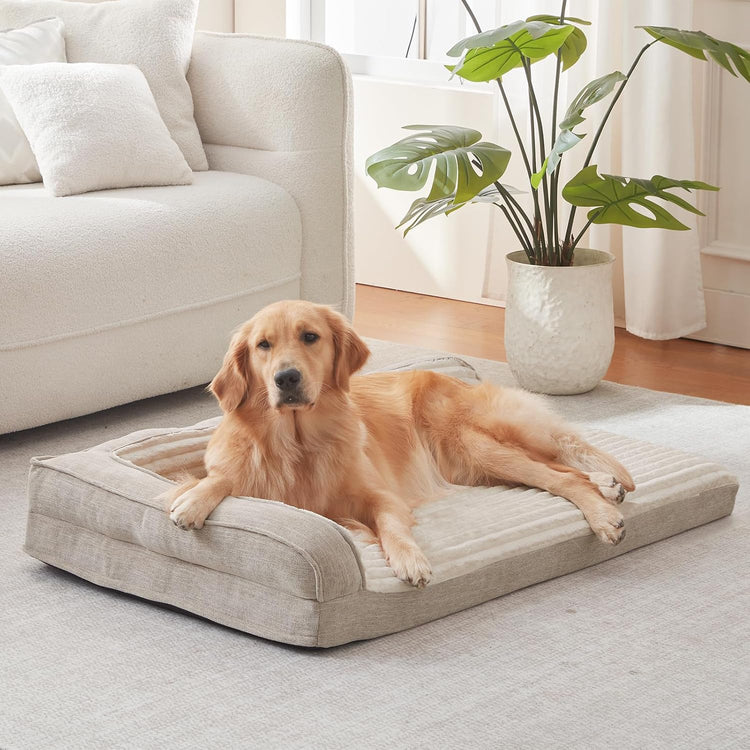 Orthopedic Waterproof Dog Bed for Small Breeds, Egg Foam Sofa Design with L-Shaped Bolsters, Washable Removable Cover, Non-Slip Base, 30 x 20 Inches, Beige