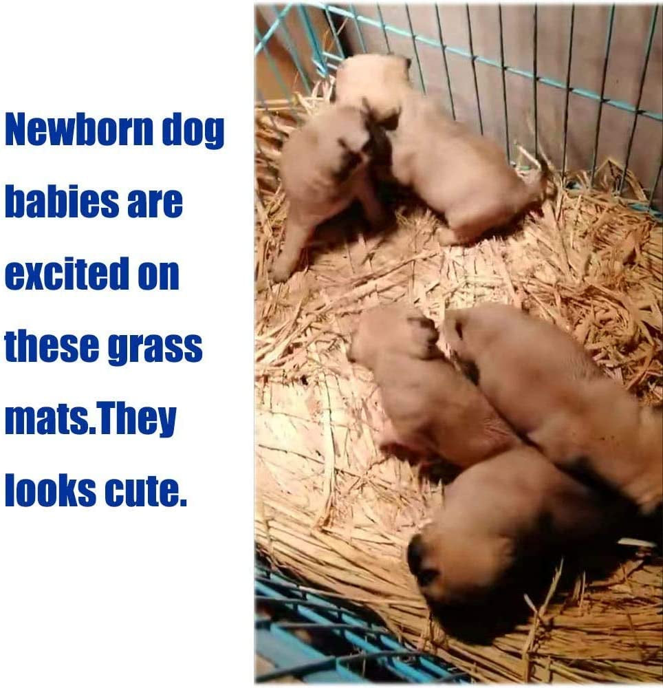 Woven Grass Mat Set for Rabbits - 12 Piece Chew Toy Bed Mat Collection
