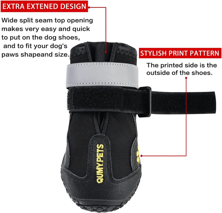 Dog Footwear: Protective Shoes for Hot Pavement and Winter Conditions