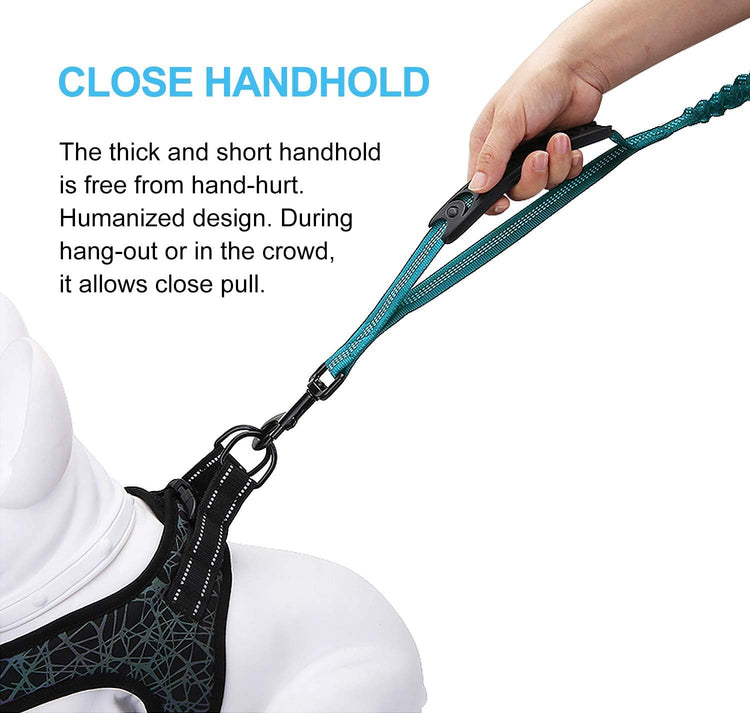 6FT Heavy-Duty Elastic Bungee Dog Leash with Shock Absorption, Padded Comfort Handle, and Traffic Handle for Medium to Large Dogs - Ideal for Training