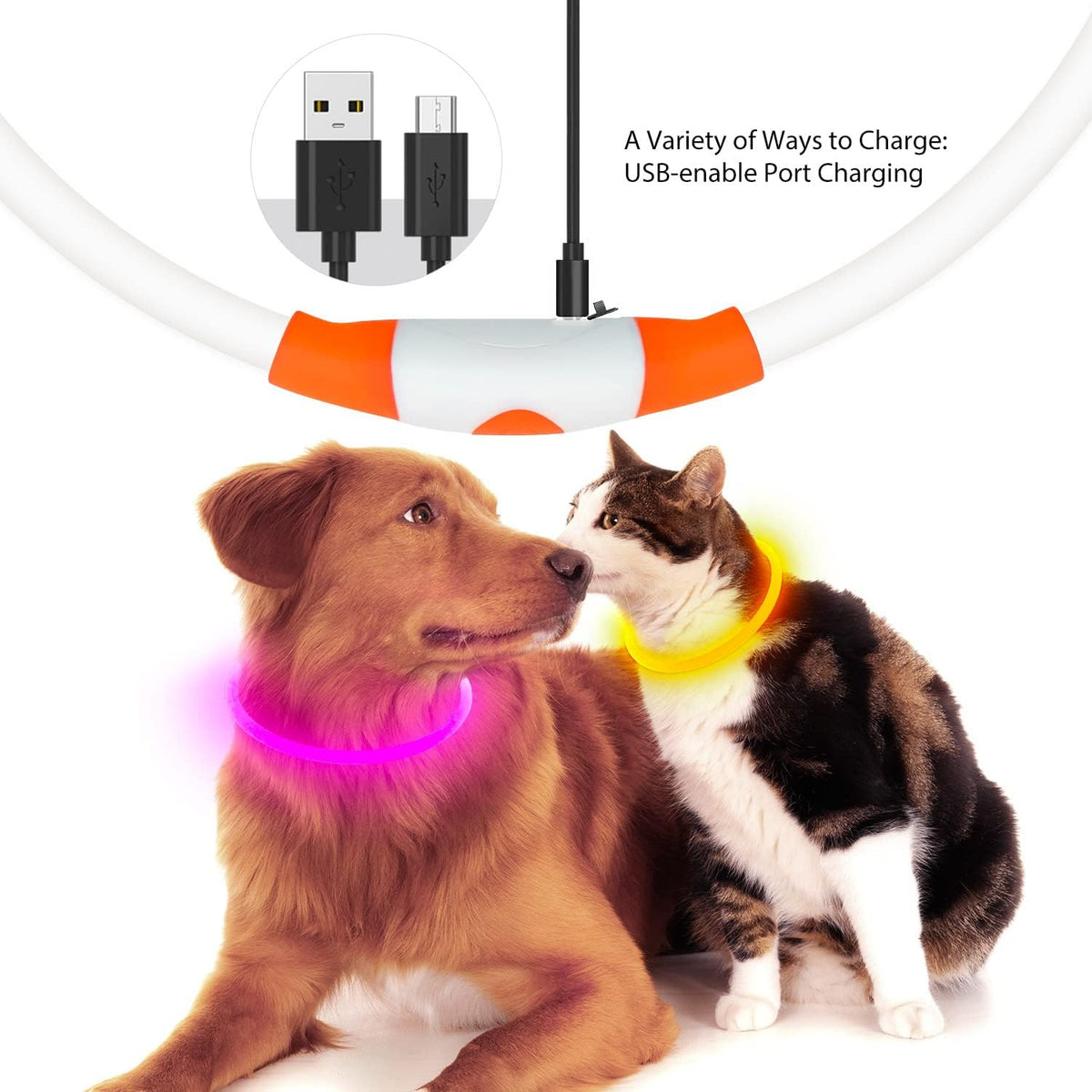 USB Rechargeable LED Dog Collar - Orange Glow Lighted Collar