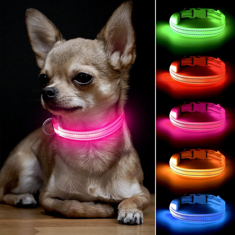 Illuminated Dog Collar for Small Dogs and Cats (Pink, XS)