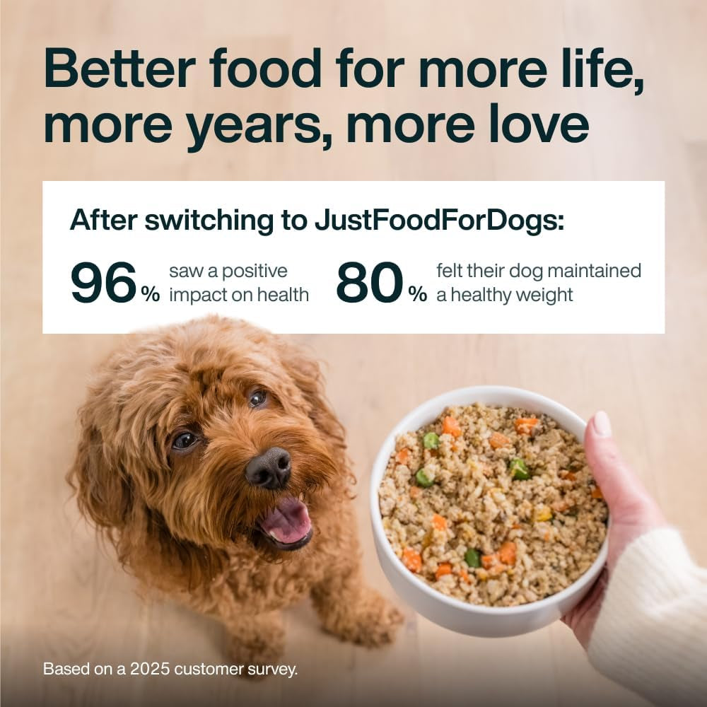 Pantry Fresh Human-Grade Beef & Russet Potato Wet Dog Food, Complete Meal or Topper, 12.5 Oz (Pack of 6)