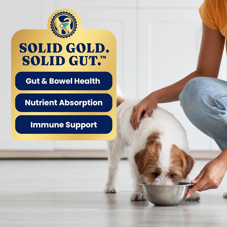 Sensitive Stomach Wet Dog Food for Adult Dogs - Meal and Topper, 6-Pack
