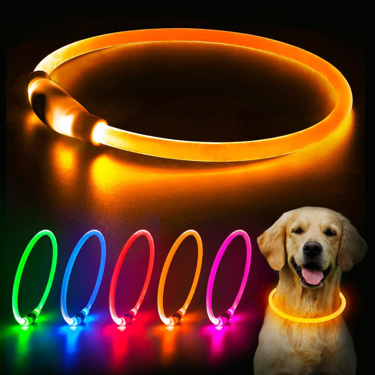 USB Rechargeable LED Dog Collar - Orange Glow Lighted Collar