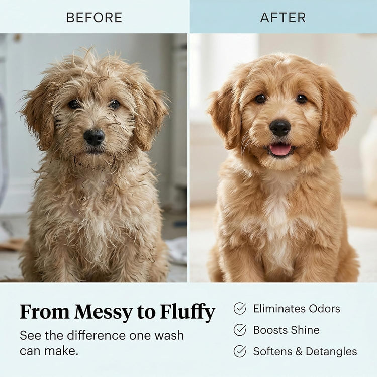 1 Gallon Hypoallergenic Tearless Puppy Shampoo and Conditioner - Itchy Skin Relief with Coconut Oil and Oatmeal - Made in the USA