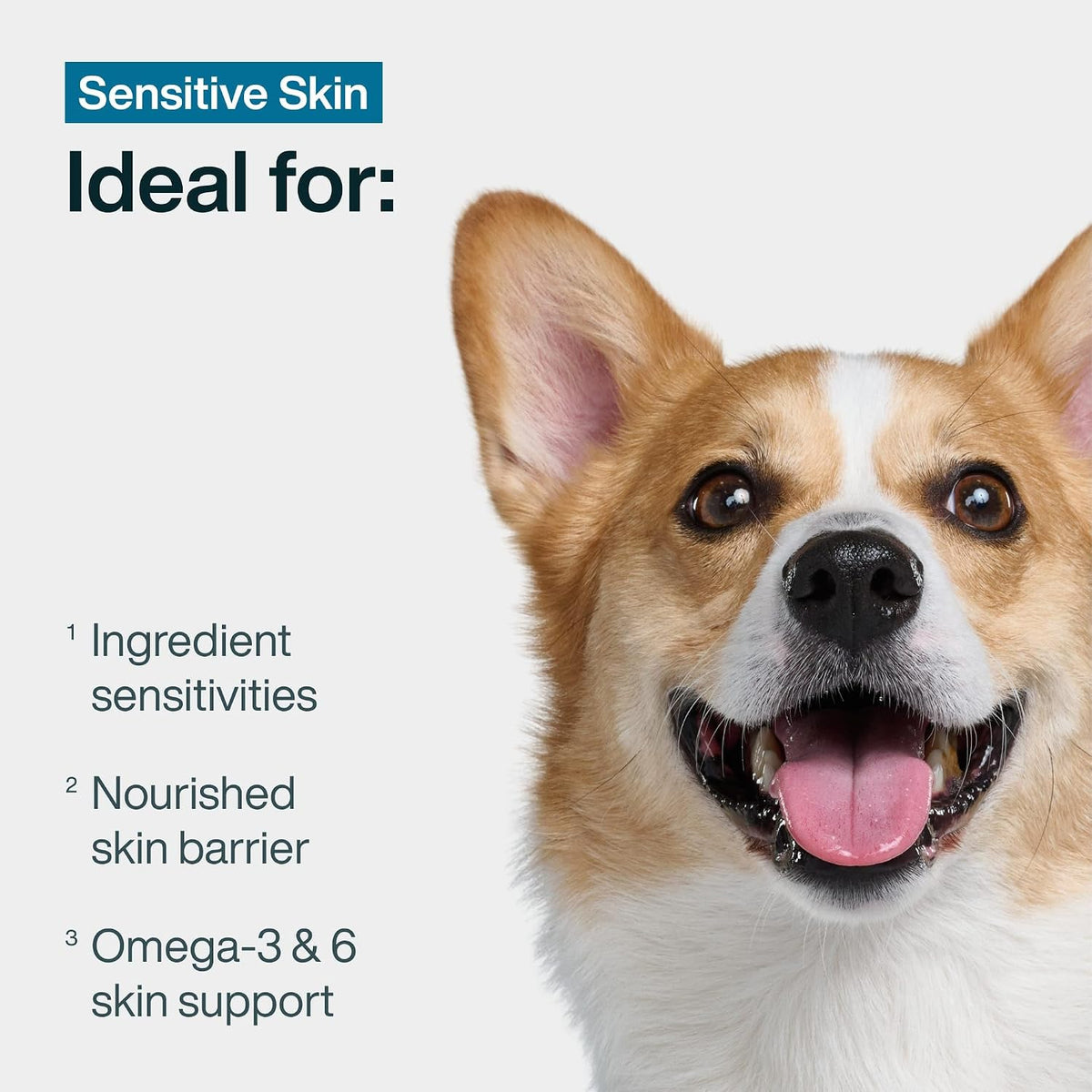 Frozen Fresh Dog Food for Sensitive Skin - 7-Pack for Optimal Skin and Coat Health