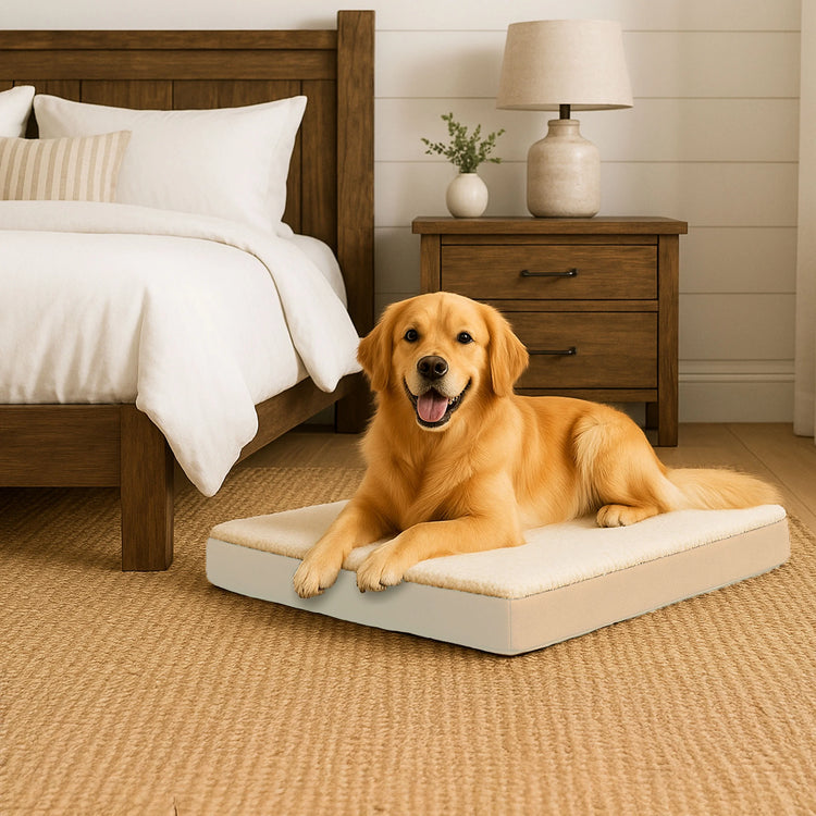 PETMAKER Orthopedic Memory Foam Pet Bed - 36" X 27", Tan