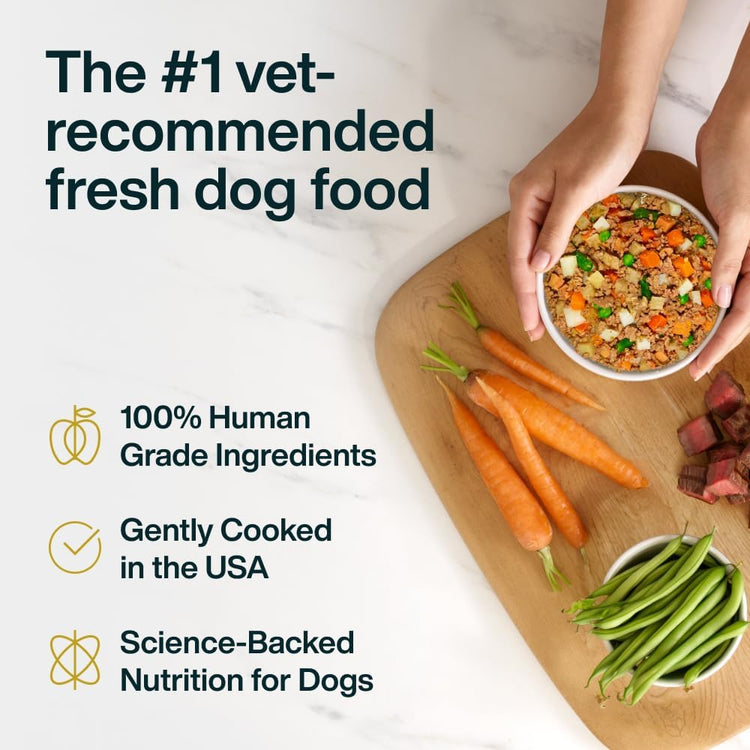 Pantry Fresh Human-Grade Beef & Russet Potato Wet Dog Food, Complete Meal or Topper, 12.5 Oz (Pack of 6)