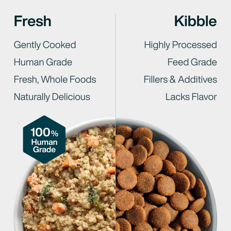 Pantry Fresh Human-Grade Beef & Russet Potato Wet Dog Food, Complete Meal or Topper, 12.5 Oz (Pack of 6)