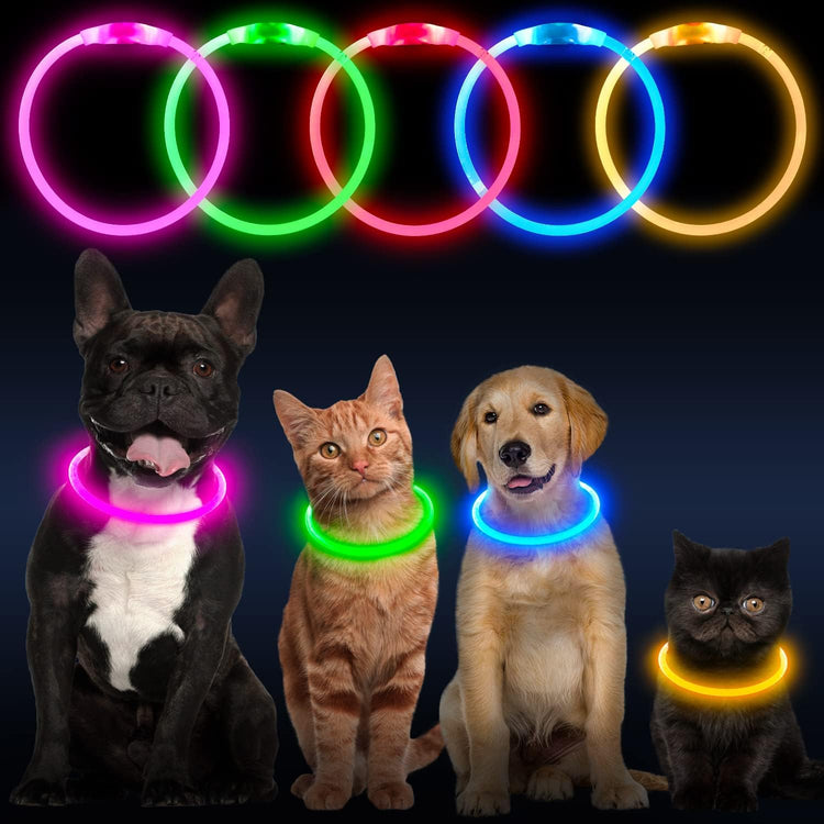 USB Rechargeable LED Dog Collar - Orange Glow Lighted Collar