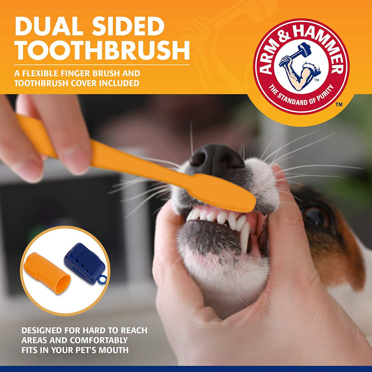 Dog Toothbrush Kit with Banana Mint Toothpaste, 2.5 oz