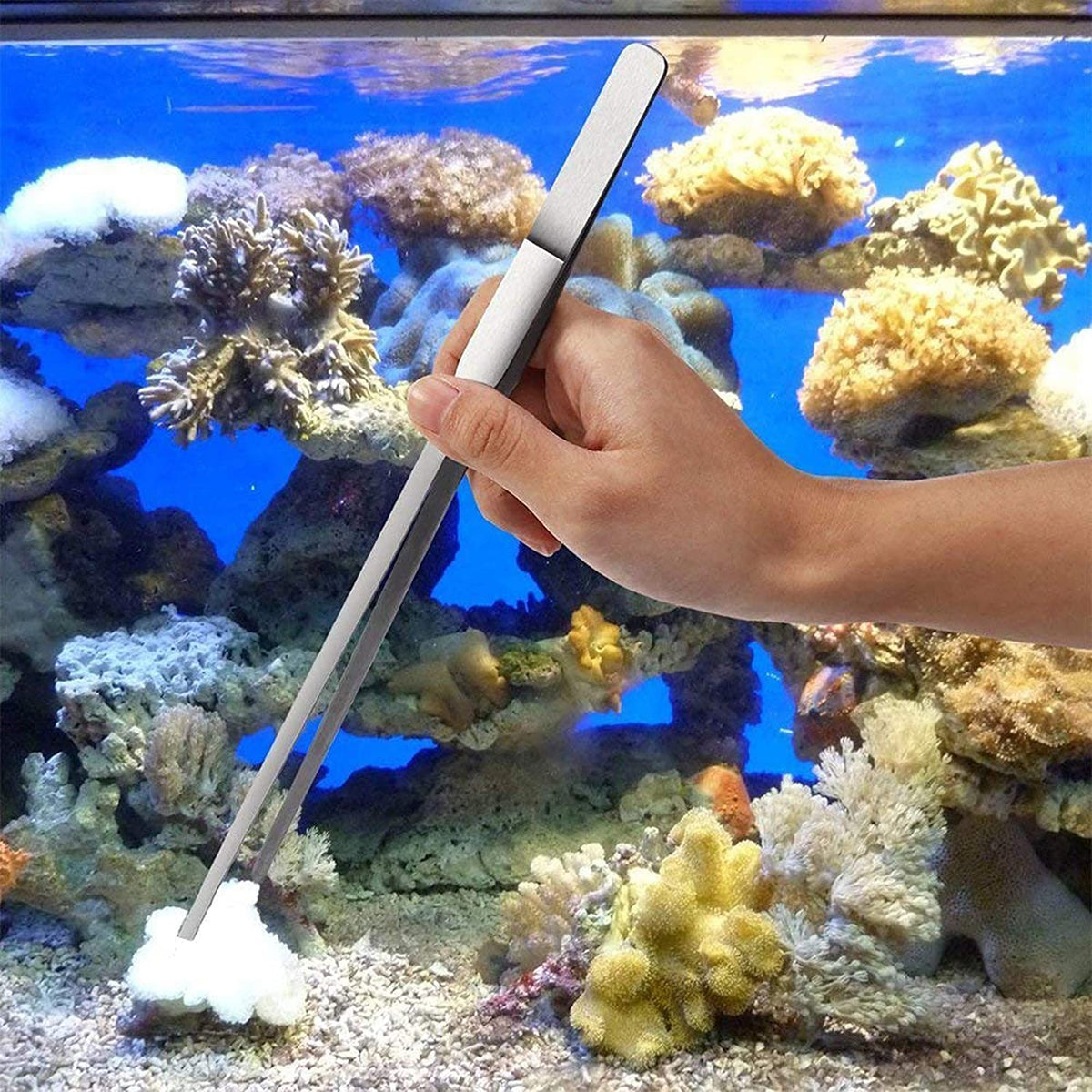 Professional Aquascaping Tool Set: 4-in-1 Stainless Steel Long Tweezers, Scissors, and Spatula for Aquariums, Fish Starter Kits, and Terrariums