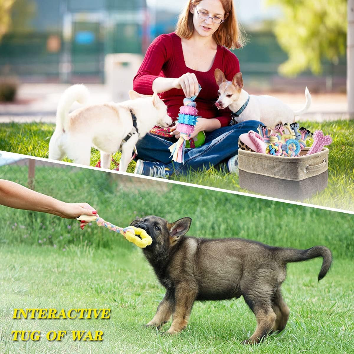 Interactive Teething Chew Toys for Puppies - Small Dog Rope Balls and Tug Toys with Storage Basket