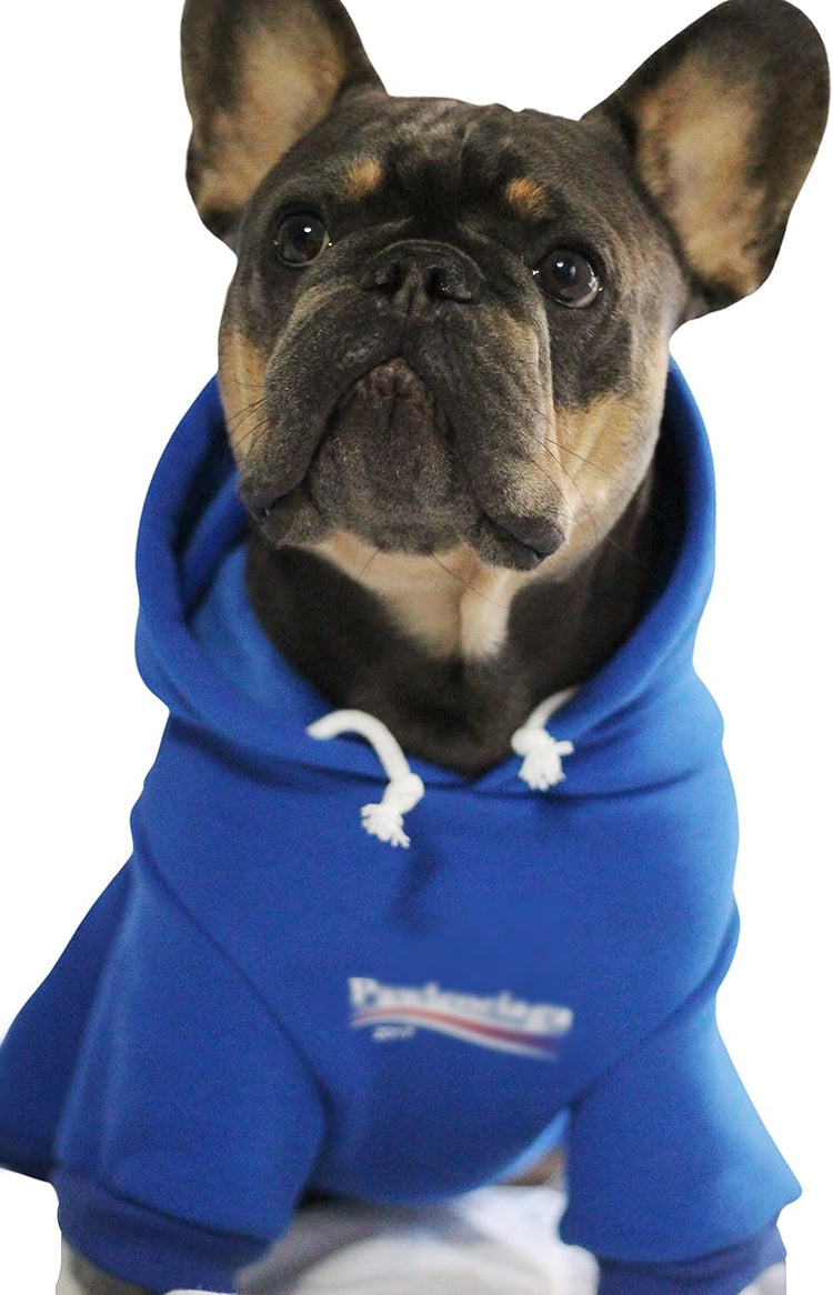 Stylish Blue Streetwear Sweatshirt Tracksuits for Dogs and Cats, Available in Small to 3XL