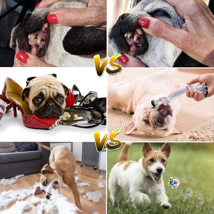 Interactive Teething Chew Toys for Puppies - Small Dog Rope Balls and Tug Toys with Storage Basket