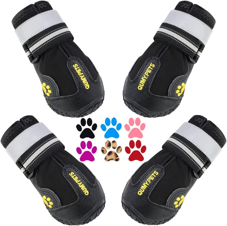 Dog Footwear: Protective Shoes for Hot Pavement and Winter Conditions