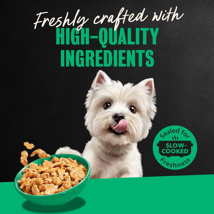 Turkey Recipe Wet Dog Food Filets in Gravy, 3.5 Oz, 24-Pack