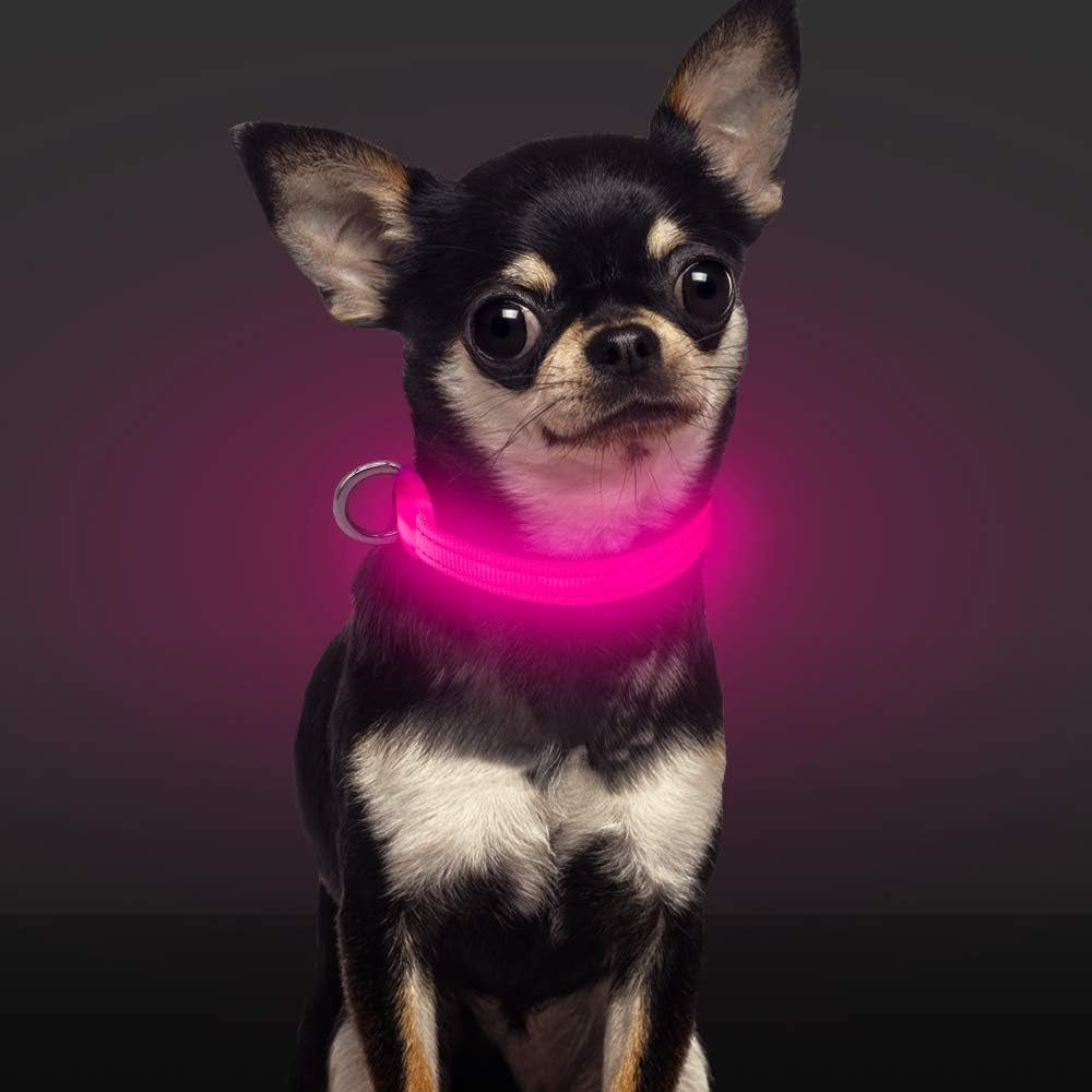 Illuminated Dog Collar for Small Dogs and Cats (Pink, XS)