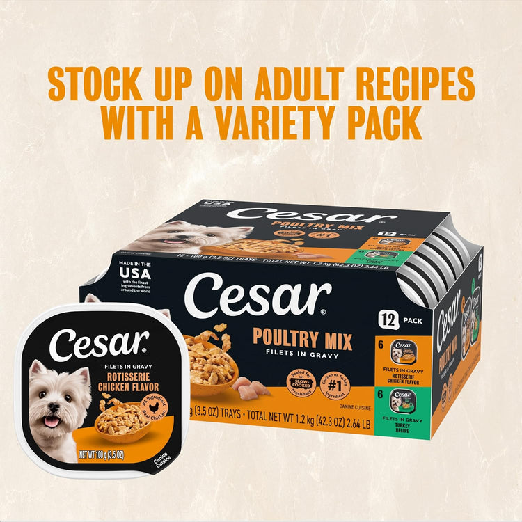 Rotisserie Chicken Flavor Filets in Gravy Wet Dog Food, 3.5 Oz, Pack of 24
